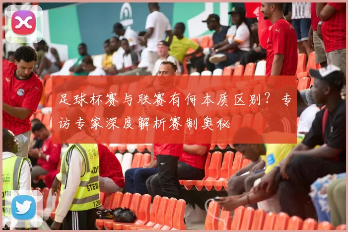 足球杯赛与联赛有何本质区别？专访专家深度解析赛制奥秘